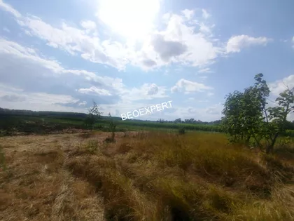 Čenta | 4zida.rs