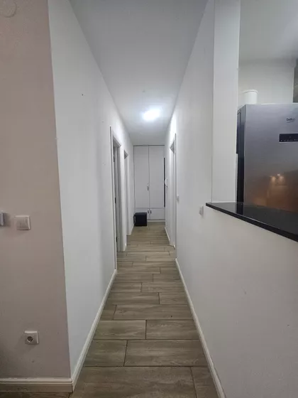 Mihajla Valtrovića | 4zida.rs