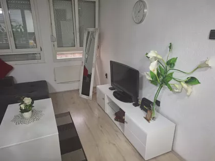 Daničićeva | 4zida.rs