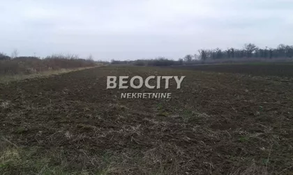 Majke Angeline bb,tabla 075 | 4zida.rs