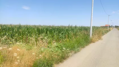 Ugrinovci | 4zida.rs