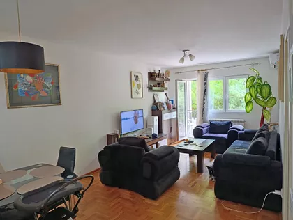 JOVANKE RADAKOVIC | 4zida.rs