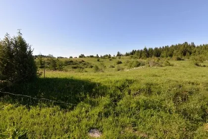 Komarani | 4zida.rs