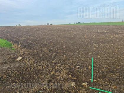 BATAJNICA AUTOPUT | 4zida.rs