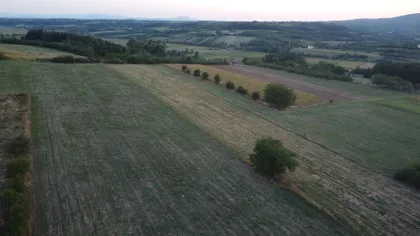 Kosni Put | 4zida.rs