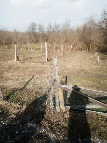 Dragiše Sarića | 4zida.rs