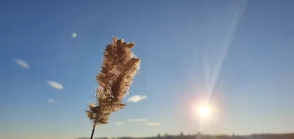 Čortanovci | 4zida.rs