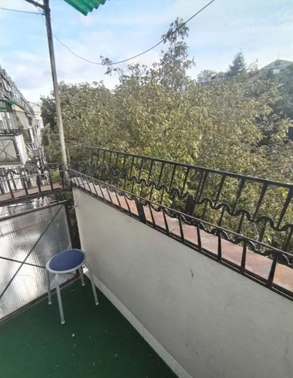 Mis Irbijeve | 4zida.rs