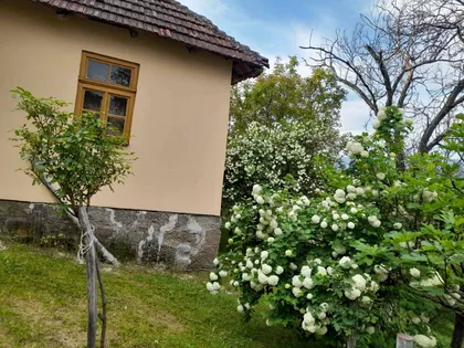 Lopatnica | 4zida.rs