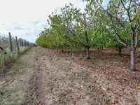 Gradske lokacije, Merošina | 4zida.rs