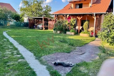 Šeste Ličke divizije