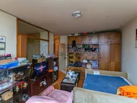 Bulevar Nemanjića, Medijana, Gradske lokacije, Niš | 4zida.rs