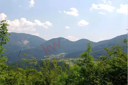 Planina Tara | 4zida.rs