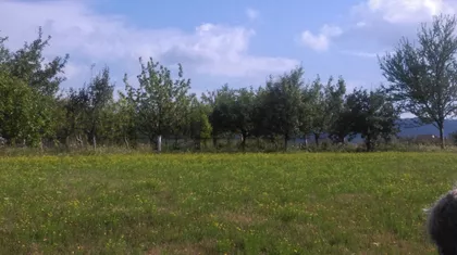 Žunje | 4zida.rs