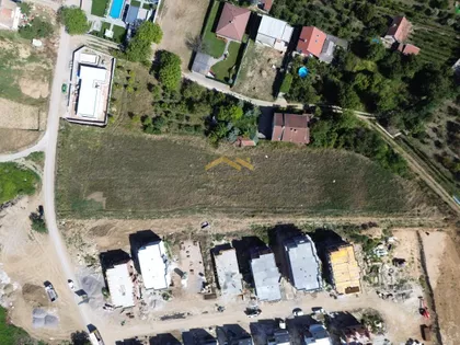 Alibegovac | 4zida.rs
