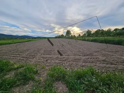 Ratina | 4zida.rs