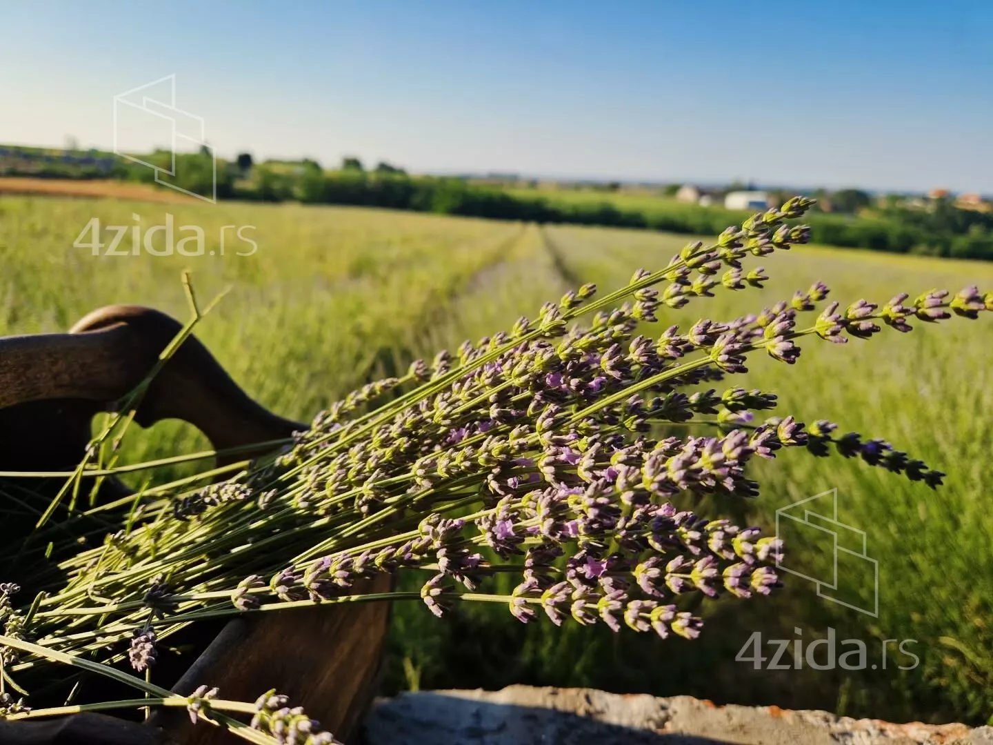 Poljoprivredno zemljište | 4zida