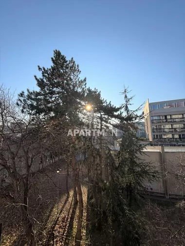 Vojvode Stepe
