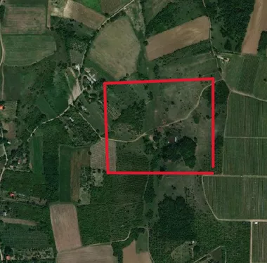 Vrdnik