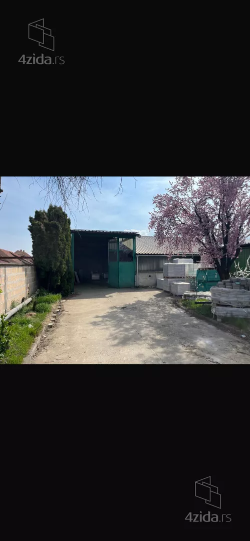 Hala | 4zida