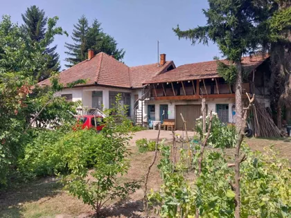 Bajnat | 4zida.rs