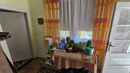 Zrenjanin, Žitni trg | 4zida.rs