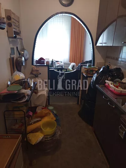 Žila Verna | 4zida.rs