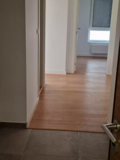 Cara Dušana | 4zida.rs