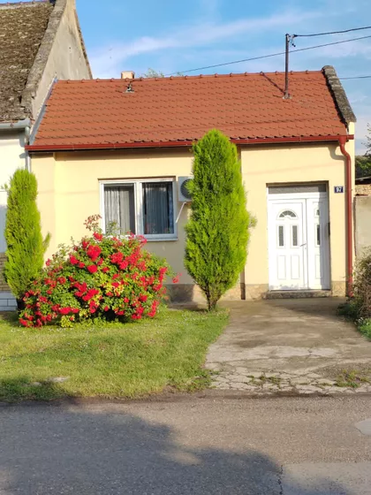 Novosadska 97 | 4zida.rs