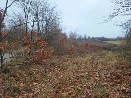 Lazara Jankovića | 4zida.rs