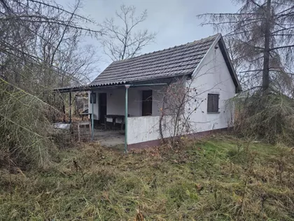 Muškatla | 4zida.rs