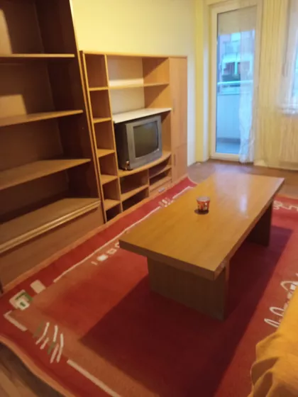 Dr Svetislava Kasapinovića | 4zida.rs