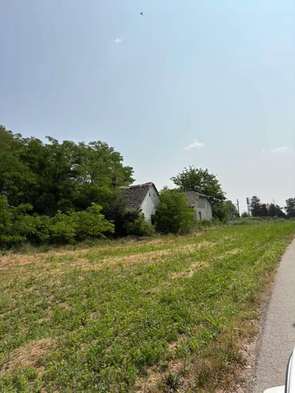 Međunarodni Put | 4zida.rs