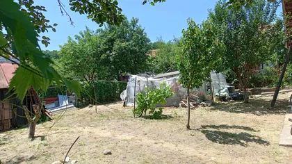 Pločnička 1B | 4zida.rs