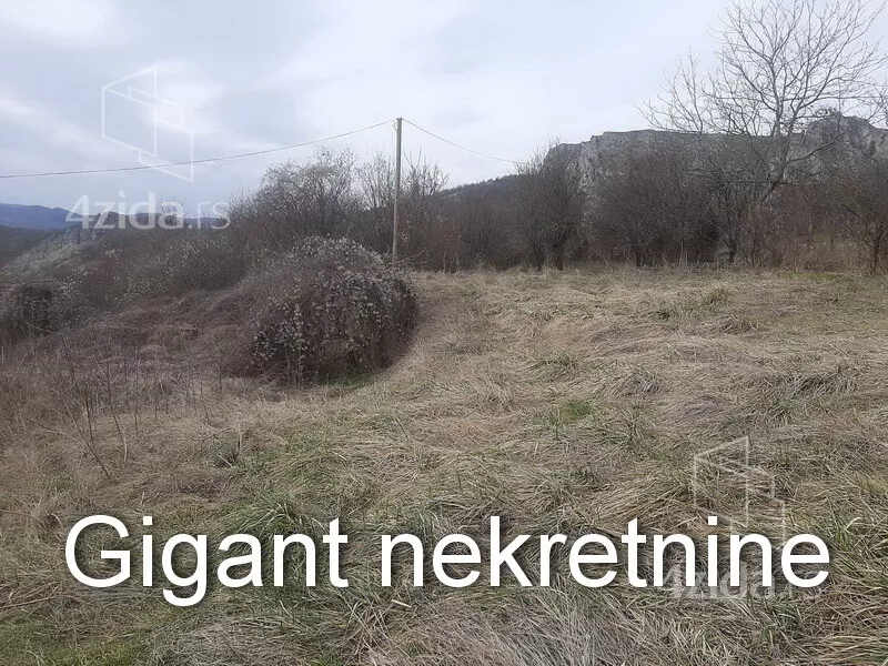 Plac | 4zida