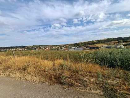 Bukovac | 4zida.rs