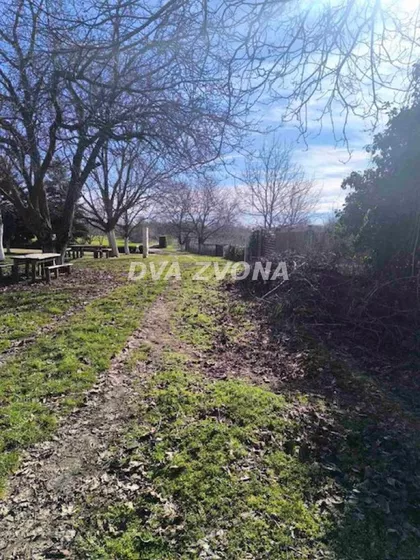 Čortanovci | 4zida.rs