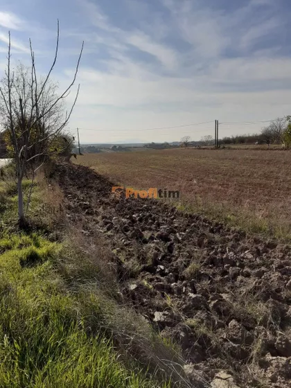 Hajduk Veljka | 4zida.rs