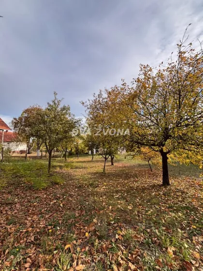 Čortanovci | 4zida.rs