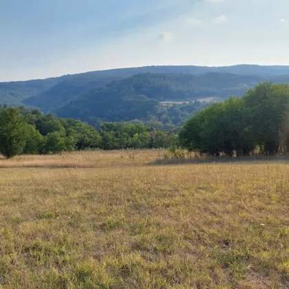 Bore Markovića | 4zida.rs