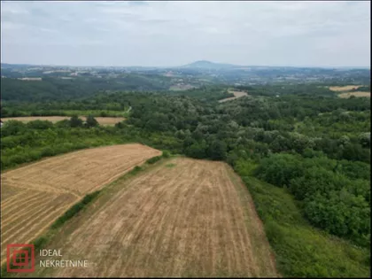 Trešnja | 4zida.rs