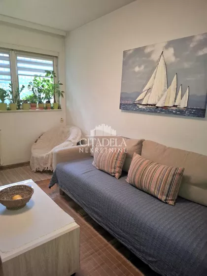 Luke Vojvodića | 4zida.rs