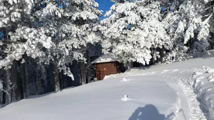 Zaselak Lučića Ograda | 4zida.rs