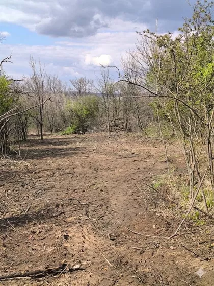 Kosmajska | 4zida.rs