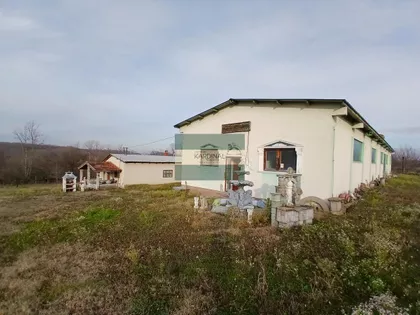 Veliki Popović | 4zida.rs