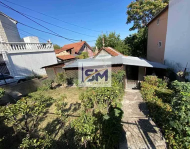 Dušana Radovića