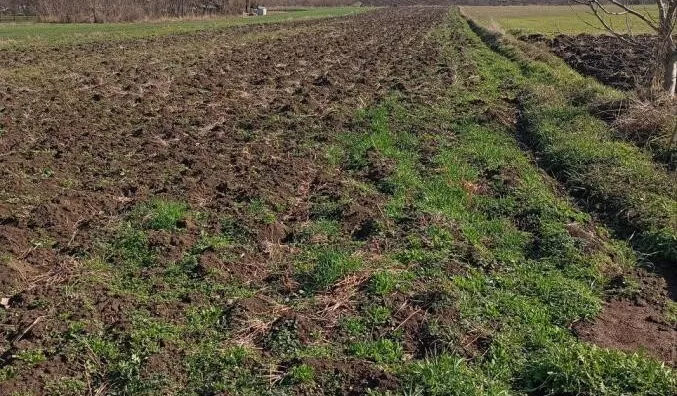 Poljoprivredno zemljište | 4zida