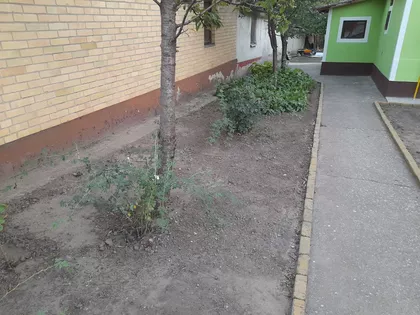 Mužlja | 4zida.rs