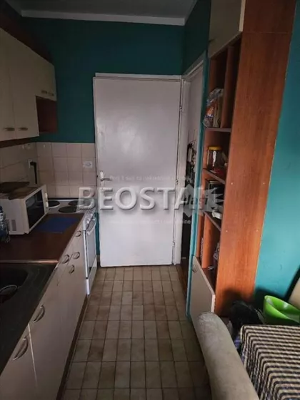 Luja Adamica | 4zida.rs