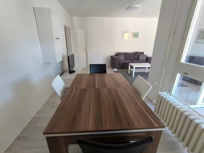 Vojvode Brane | 4zida.rs